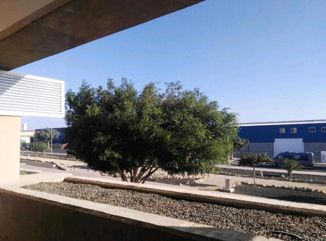 Strelitzia Park Apart otel San Miguel de Abona Dış mekan fotoğraf