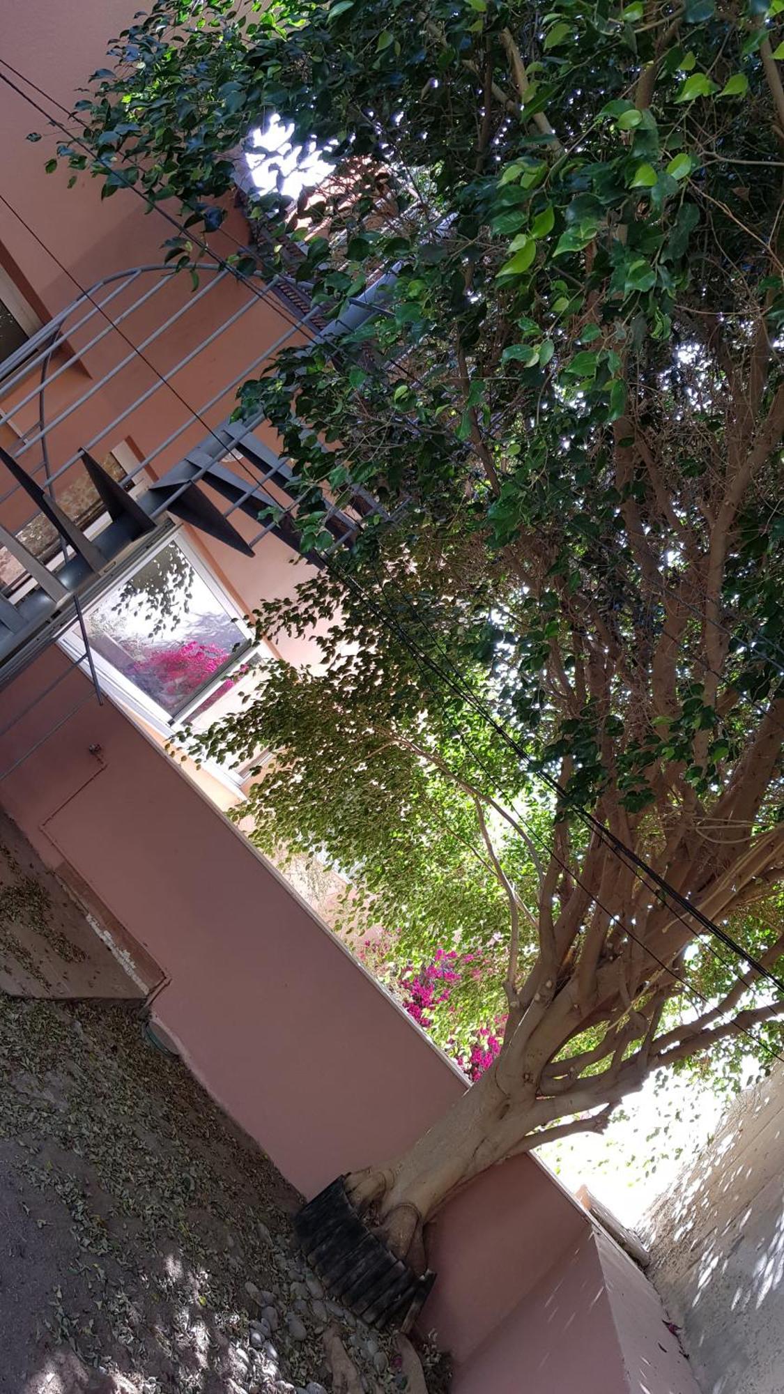 Strelitzia Park Apart otel San Miguel de Abona Oda fotoğraf